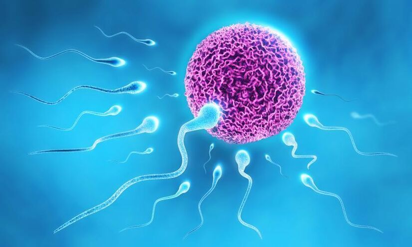 spermatozoa dalam komposisi pelincir pada lelaki