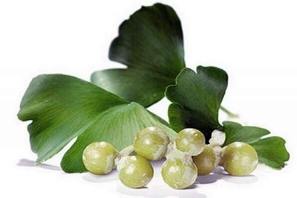 Ginkgo biloba meningkatkan potensi lelaki