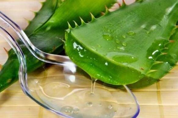Jus aloe untuk ereksi yang kuat
